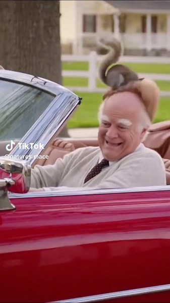 Stop Squirrels Today with Nature’s Mace Squirrel Repellent Spray! 🐿️ Great for lawns, trees, bird feeders, car engines, and more! #squirrels #repellent #comedy