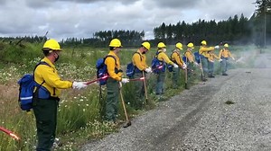 10K views · 217 reactions | Members of the Washington National Guard...