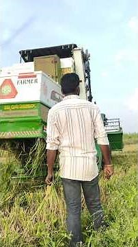 వరి కోతకు వస్తే పార్ట్ 3 #paddyfarming #agriculture #comedy #funny #villagecomedy #madhufarmer