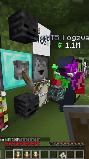 I got chunk banned on the donut SMP... #donutsmp #minecraft #smp #ban #banned #cooked #gg