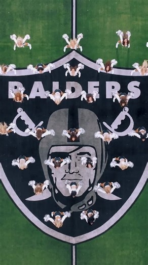 Raiderettes | Football’s. Fabulous. Females. | Instagram