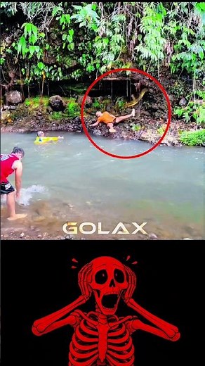SHOCKING! A Giant Python Emerges From The River! 😱😱 #Pythons #SnakeAttack #Nature