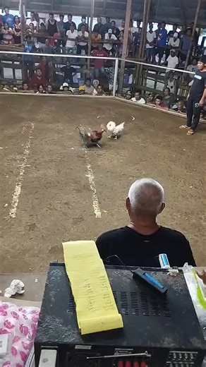 4.8K views · 150 reactions | Hengli Ayaracig on Reels | Facebook