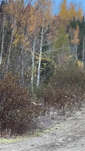 Mario Roberge on Reels