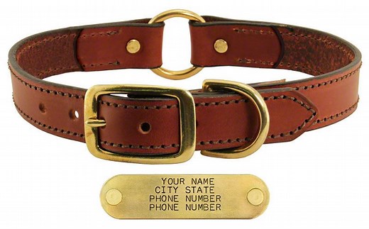 Leather Dog Collar   LASER Name Plate