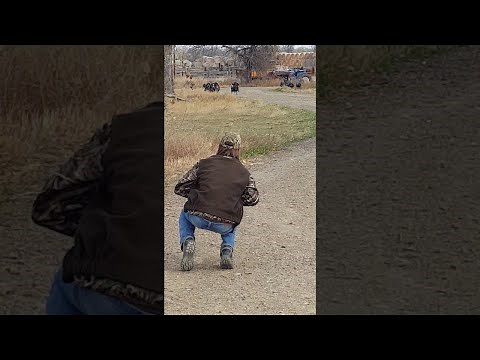 The Turkey Whisperer || ViralHog