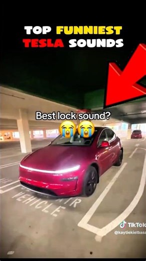 Top Funniest Tesla Lock Sounds Ever 😂🔊