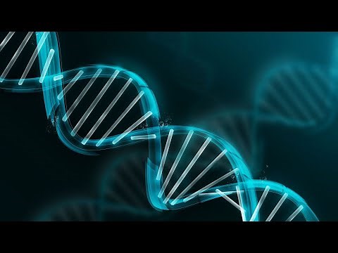 The Evolution of Life in the Context of Ecology