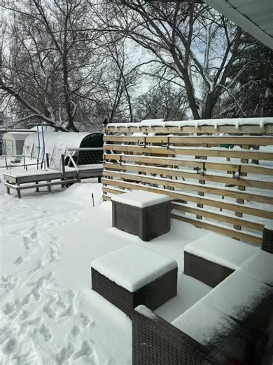 but will winter ever end? 😩 you’d never guess this is the same space 🌸 #thegardenlibrary #gardentok #backyardgarden #gardeninspiration #deckgarden