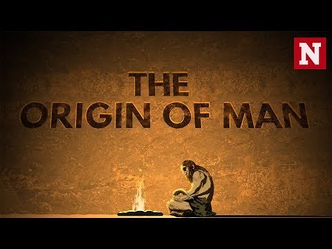 The Origin Of Man