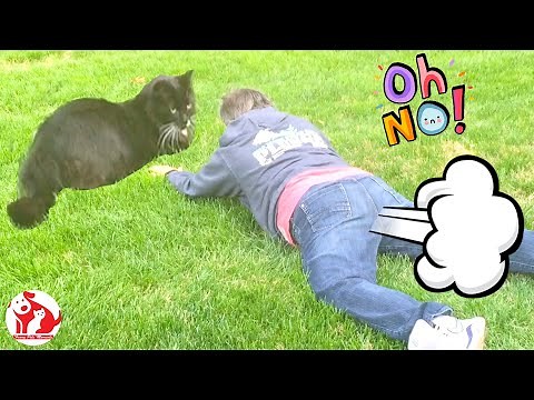 Everybody Farting - Try Not To Laugh Challenge - Life's Unexpected Moments - Funny Pets Moments