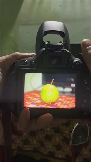 Canon 700d photography #canon700d #photography #50mm