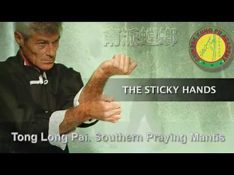 Tong Long Pai Kung Fu. Southern Praying Mantis