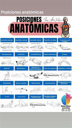 Posiciones anatómicas y sexuales para estudiantes de enfermería