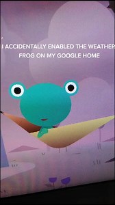 weather frog