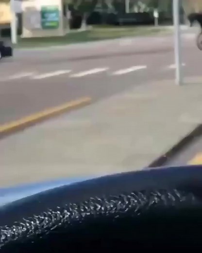 Once a cowboy always a cowboy 🫠 ******************* Follow us @weareamericancowboy Visit the shop @ 👇🤠 www.weareamericancowboy.com ******************* Help us by giving a FOLLOW➕LIKE ❤︎ SHARE ⇢ COMMENT ✍︎ We appreciate our American Cowboy and Cowgirl family! 🫶 COUNTRY STRONG 💪 🇺🇸 ✪ ✪ ✪ #cowboys #cowgirls #westernwear #country #american #america #clothing #americancowboy #americancowgirl #weareamericancowboy #western #countrywestern #westernculture #countrymusic #godscountry #usa #countryl