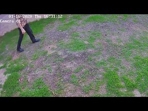 GopherHawk works in 19 minutes