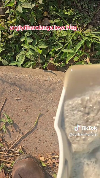 Professional Car Seat Cleaning Tips and Techniques