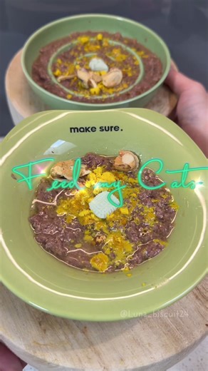 Love making colour themed meals 💚 🏷️ Discount Codes: @Wonderfur - luna15 @nibblesandpaws.com - luna_biscuit24 🍽️ Menu: • @Weruva - Lamburgini • @wonderfurcompany - Prebiotics & Probiotics, Immune Booster • @Open Farm Pet - Turkey Bone Broth • @nibblesandpaws - Green Lipped Mussels • @flourandfur - Sweets Pawradise . . . #cat #catasmr #catfood #feedmycats #fyp