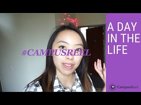 Rice University College Dorm Room Tour