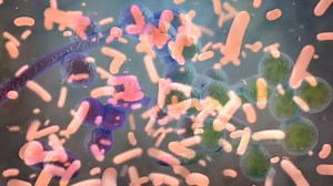 Get access to my FREE resources 👉 https://drbrg.co/3yvGfdE Interesting new research shows that soil is not low in nutrients… The problem is something else. Take a look. Environmental Soil Chemistry 2nd Edition by Donald Sparks: https://www.sciencedirect.com/book/97... Timestamps 0:00 Introduction 1:46 Soils are not depleted of nutrients—they are depleted of… 2:14 Why fungus is important for plant growth 3:19 The effects of modern agriculture 4:45 How to bulletproof your immune system (free cour