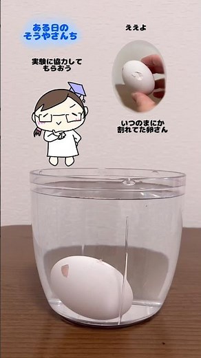 塩の力を見てみよう！【おうちでできる科学実験】 #実験 #自由研究