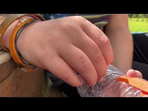 How to Make a Homemade Minnow Trap