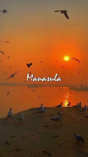 | Kannala Kannala ( Lyric Video ) | Thani Oruvan | #lyricvideo #whatsappstatus