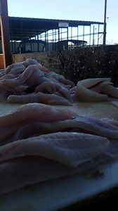 3.4K views · 123 reactions | Here is a video of how I remove the red meat from striper fillets. The same method works with White Bass and Hybrids Stripers. For those who have asked.....here it is. Thank you for following Crosswinds Guide Service | Crosswinds Guide Service | Facebook