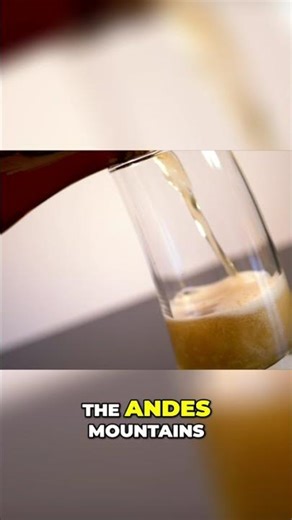 Ancient Beer: China's Rice vs. Andes' Corn #shorts