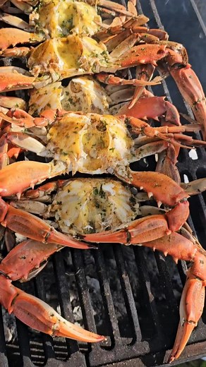 They Bacckkk... | The Shrimp Man