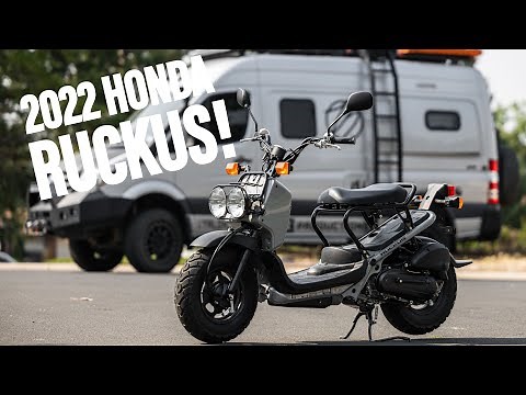 🚨BIG Life Updates!! | 2022 Honda Ruckus