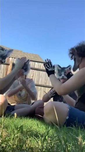 Video from a couple summers ago! I miss this group 💔💔 #therianthropy #harpyhare #therianpack