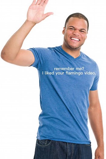 Thank yall so much for the support i love you all! #fyp #flamingo #meme