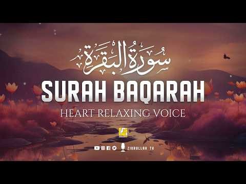 Surah Al-Baqarah Full (سورة البقرة) | ULTIMATE HEART TOUCHING QURAN RECITATION | Zikrullah TV