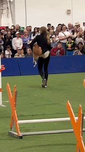 extremedogs.com canadianpetexpo.com | Canadian Pet Expo