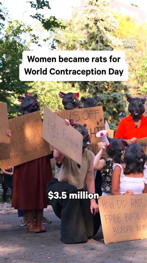 47K views · 519 reactions | Rats in NYC get free birth control, while...