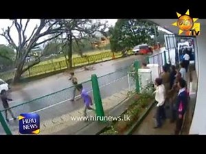 271K views · 1.6K reactions | மனித உயிர்களுக்கோ, வாகனங்களுக்கோ சேதம் ஏற்படுத்தாமல் சரியும் மரத்தைப் பாருங்கள்: பலருக்கு முன்னுதாரணம் #SooriyanNews #Sooriyan #SooriyanVideos #Videos | Sooriyan Fm News | Facebook