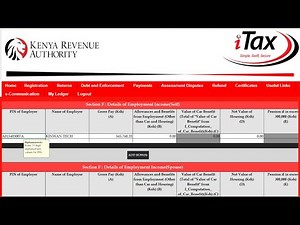 File Tax Returns by Individuals with employment income (P9) using the MS Excel Form (2025)
