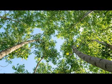 Do enough allergists and PCPs know about Environmental Health Literacy (EHL)?