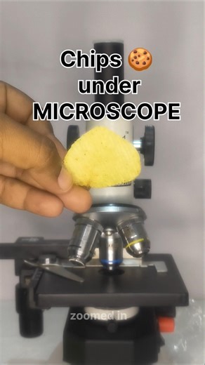 potato chips under microscope #scienceexperiment