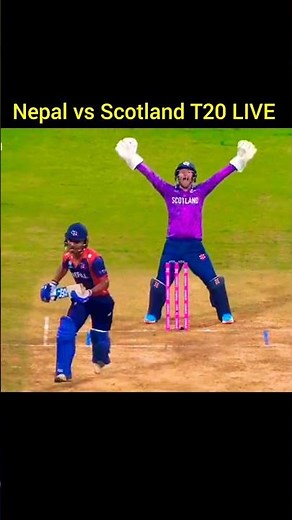 Nepal vs Scotland T20 World Cup live match today, nepal Scotland match highlights, live match today