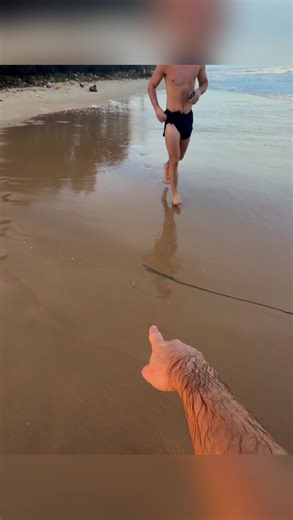 Kondisi terkini musholas PONPES Al Khoziny Sidoarjo ambruk saat salat ashar#jtvjember #evakuasi #sidoarjo #fyp