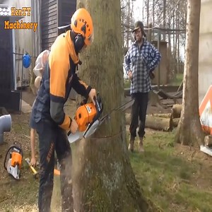 20 reactions | Amazing fastest skill cutting big tree | Funny Experiments | Facebook