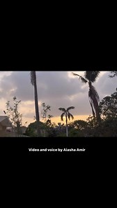 Voice by Aiasha Amir | Aiasha Amir