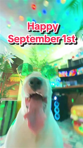 Happy September 1st! Rent is due! #firstofthemonth #rent #september #pookie #party