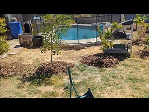 Mulching Made Easy: Tips for a Healthier Garden.