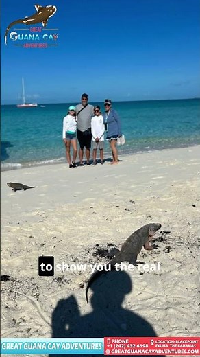 Planning Your Exuma Vacation, watch this reel now and start planning your dream trip!