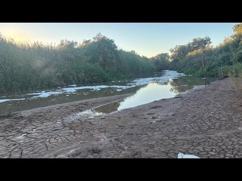 Fishing the Alamo River Imperial Valley! (New PB)