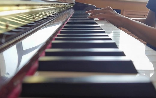 空洞骑士Hollow Knight[钢琴]